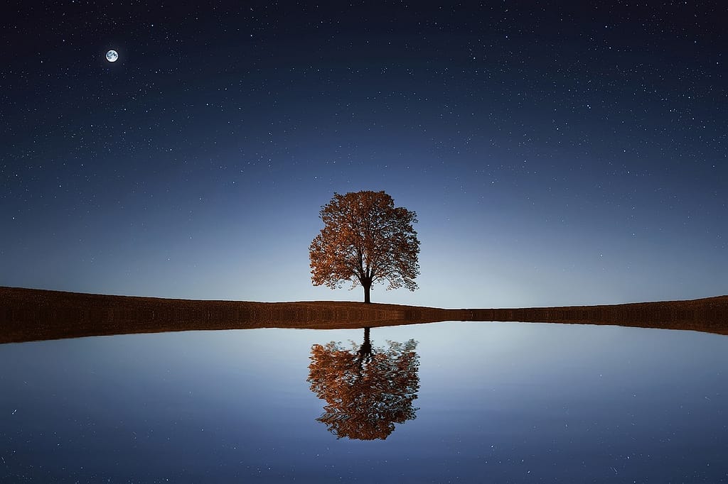 tree, lake, stars, 간여지동